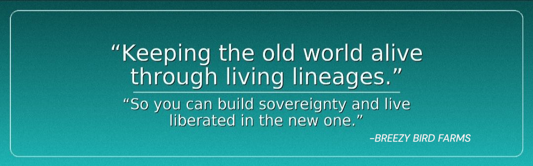 Heritage breed poultry